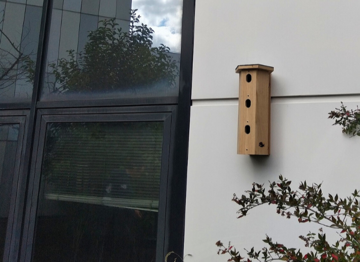 Moinolodge - Nichoir à moineaux domestiques SYMBIOSPHÈRE