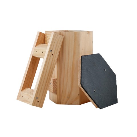 Openbox - Nichoir à rougegorges & Cie SYMBIOSPHÈRE