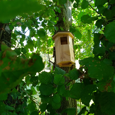 Openbox - Nichoir à rougegorges & Cie SYMBIOSPHÈRE