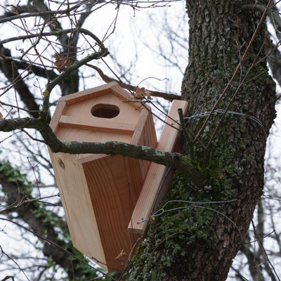 Squihotte - Refuge à écureuils SYMBIOSPHÈRE