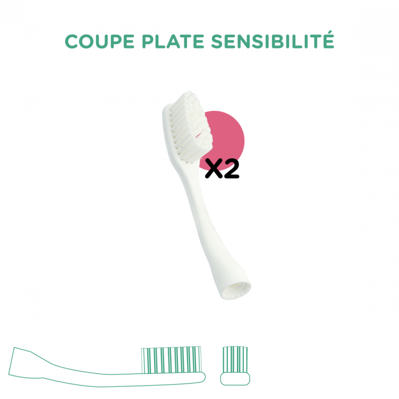 2 Têtes Interchangeables Édith Expert pour Brosse à dent Édith BIOSEPTYL  