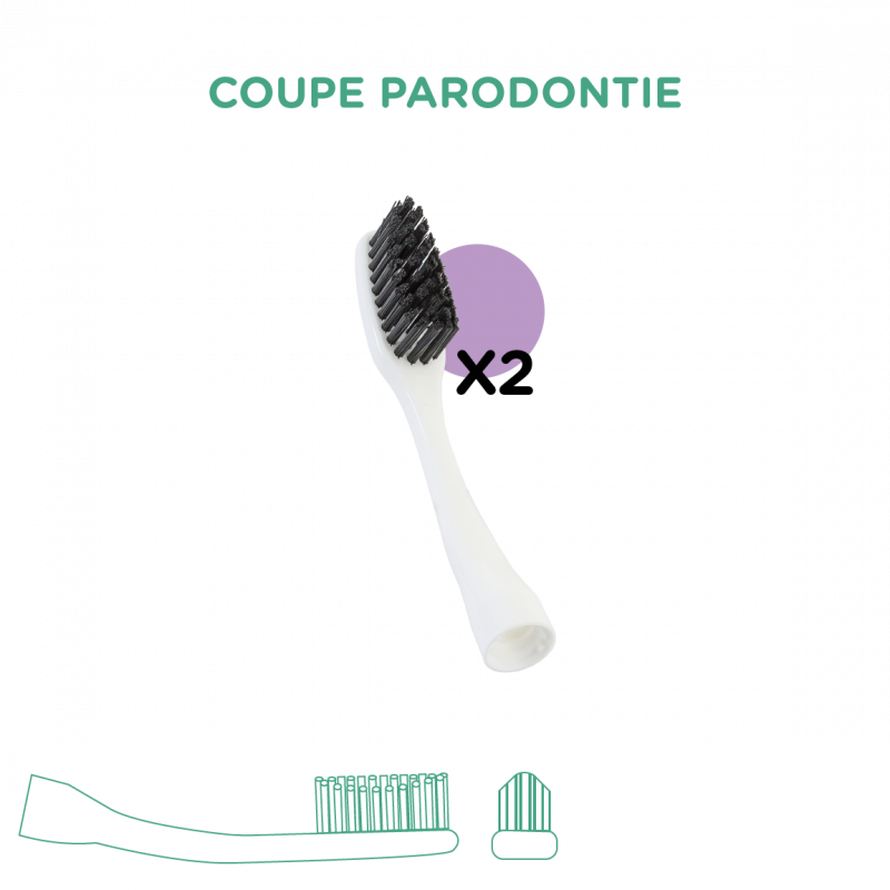 2 Têtes Interchangeables Édith Expert pour Brosse à dent Édith BIOSEPTYL  