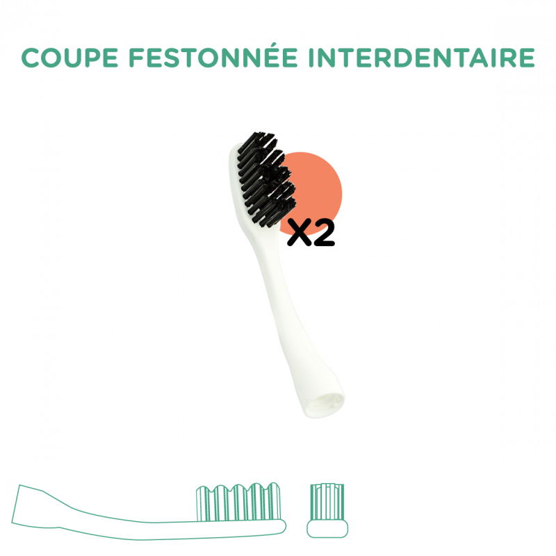 2 Têtes Interchangeables Édith Expert pour Brosse à dent Édith BIOSEPTYL  
