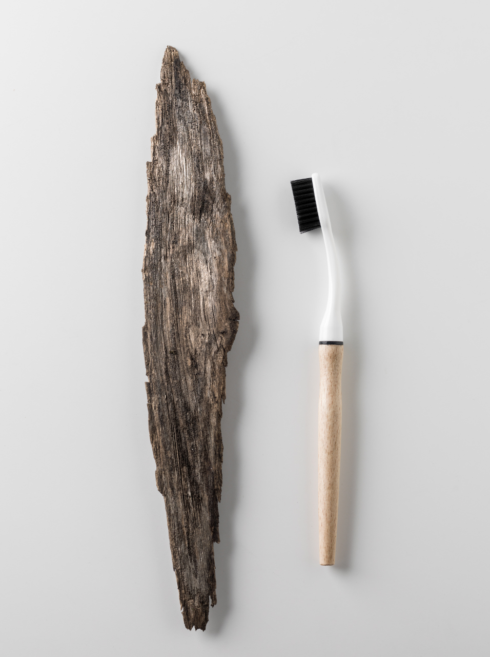 Brosses à dents à têtes rechargeables Édith en forêt BIOSEPTYL