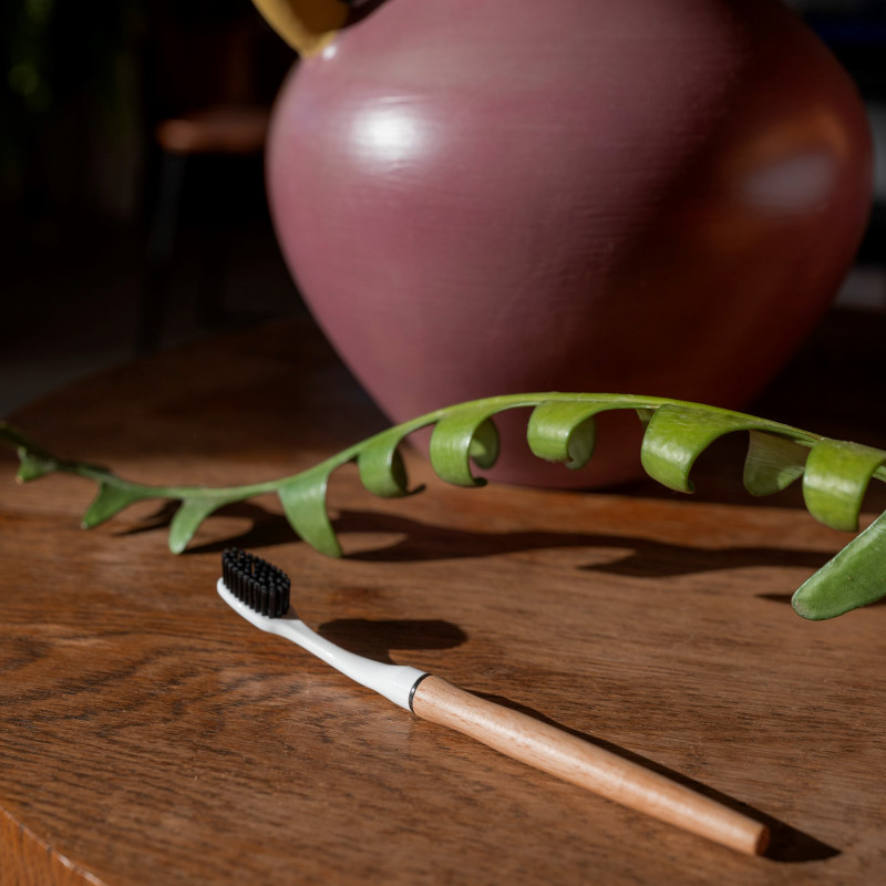 Brosses à dents à têtes rechargeables Édith en forêt BIOSEPTYL