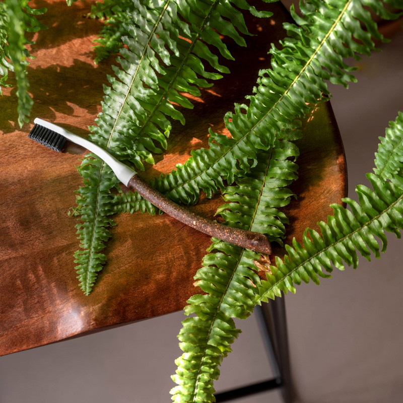 Brosses à dents à têtes rechargeables  Bonjour Édith - Liège BIOSEPTYL