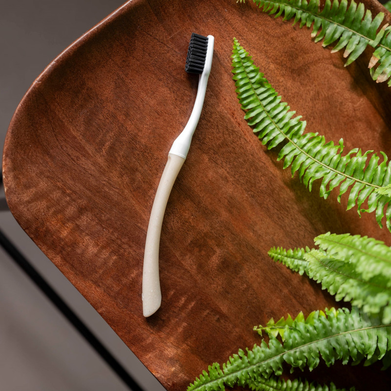 Brosses à dents à têtes rechargeables  Bonjour Édith – Coquille Saint-Jacques BIOSEPTYL