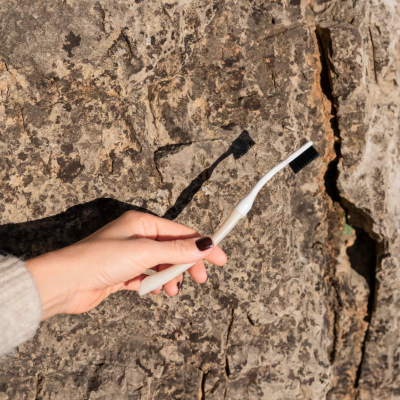 Brosses à dents à têtes rechargeables  Bonjour Édith – Coquille Saint-Jacques BIOSEPTYL