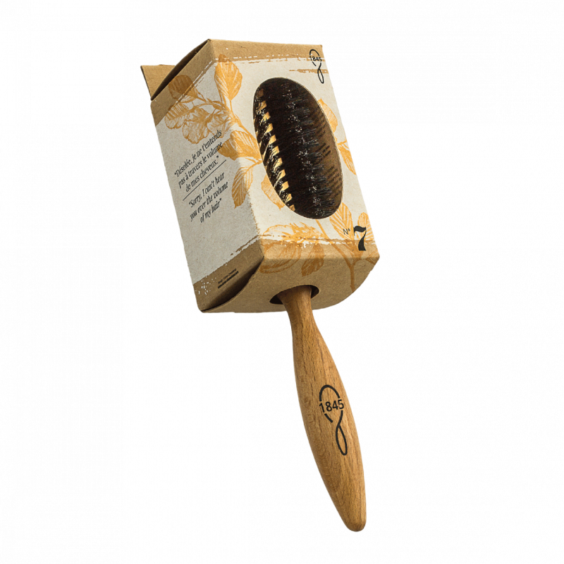 Brosse Brushing Éco-responsable 1845