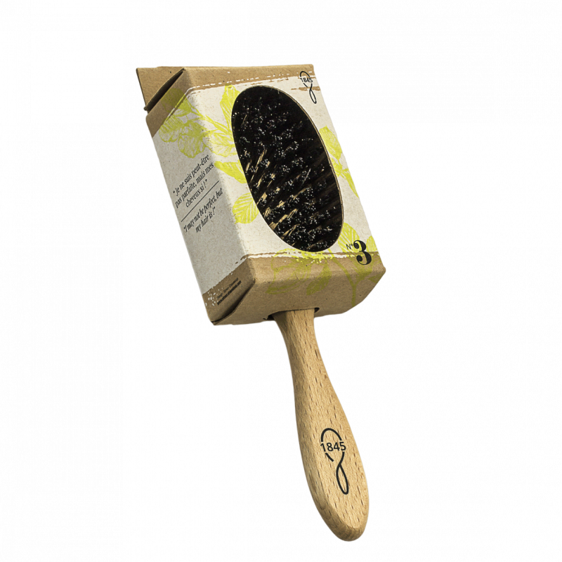 Brosse petit modèle Lissage & Soin Éco-responsable 1845