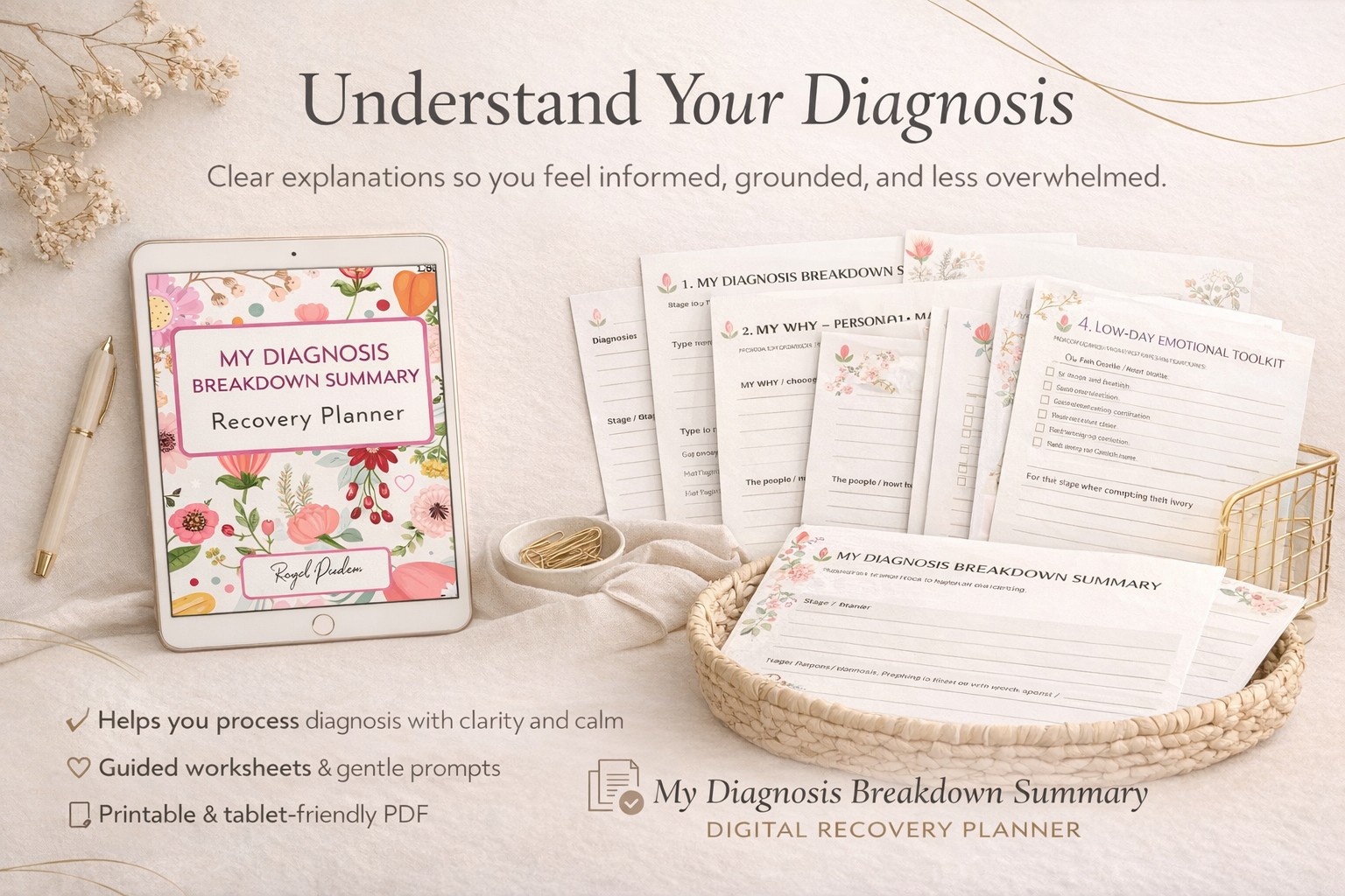 My Diagnosis Breakdown Summary Recovery Planner