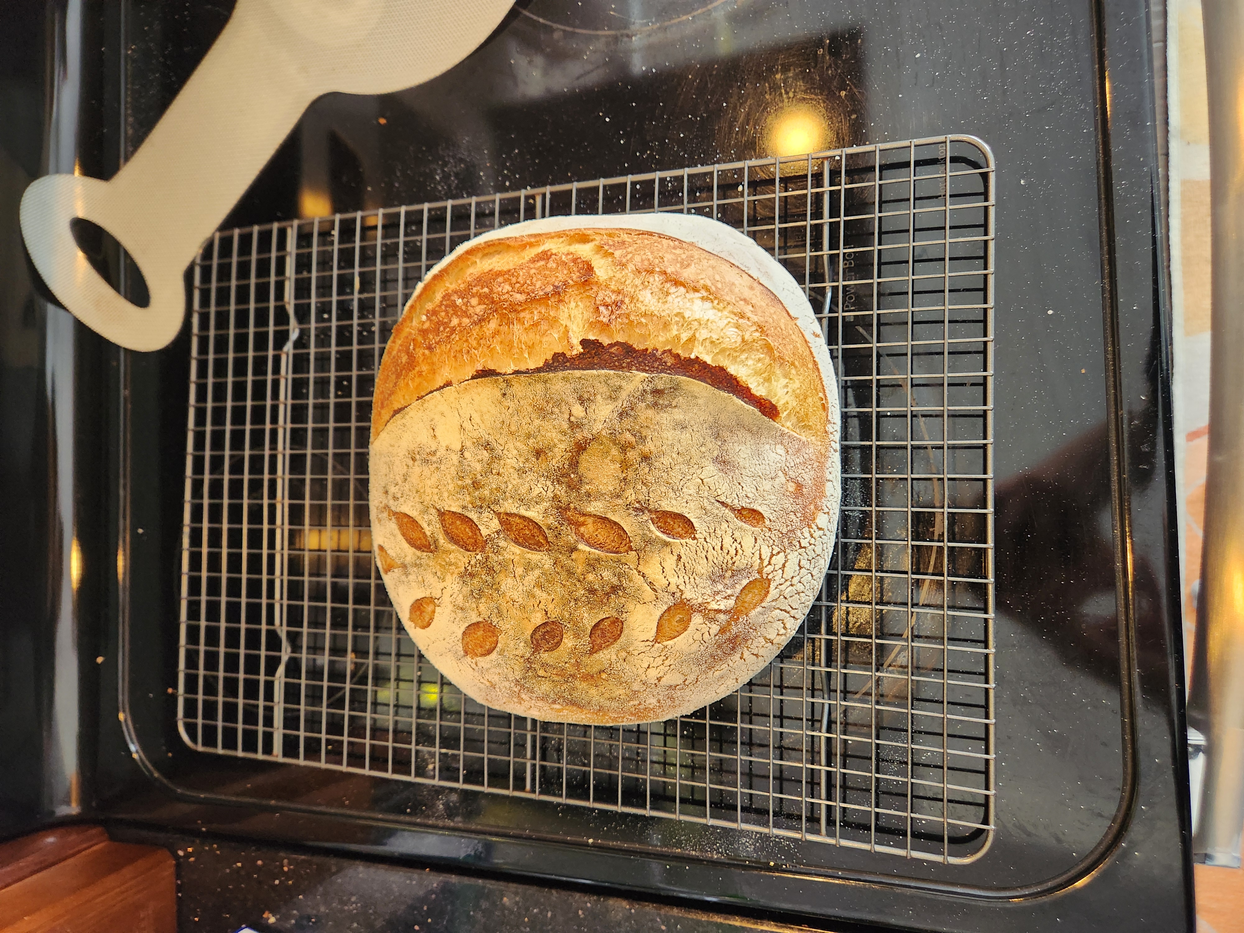 Sourdough Bread