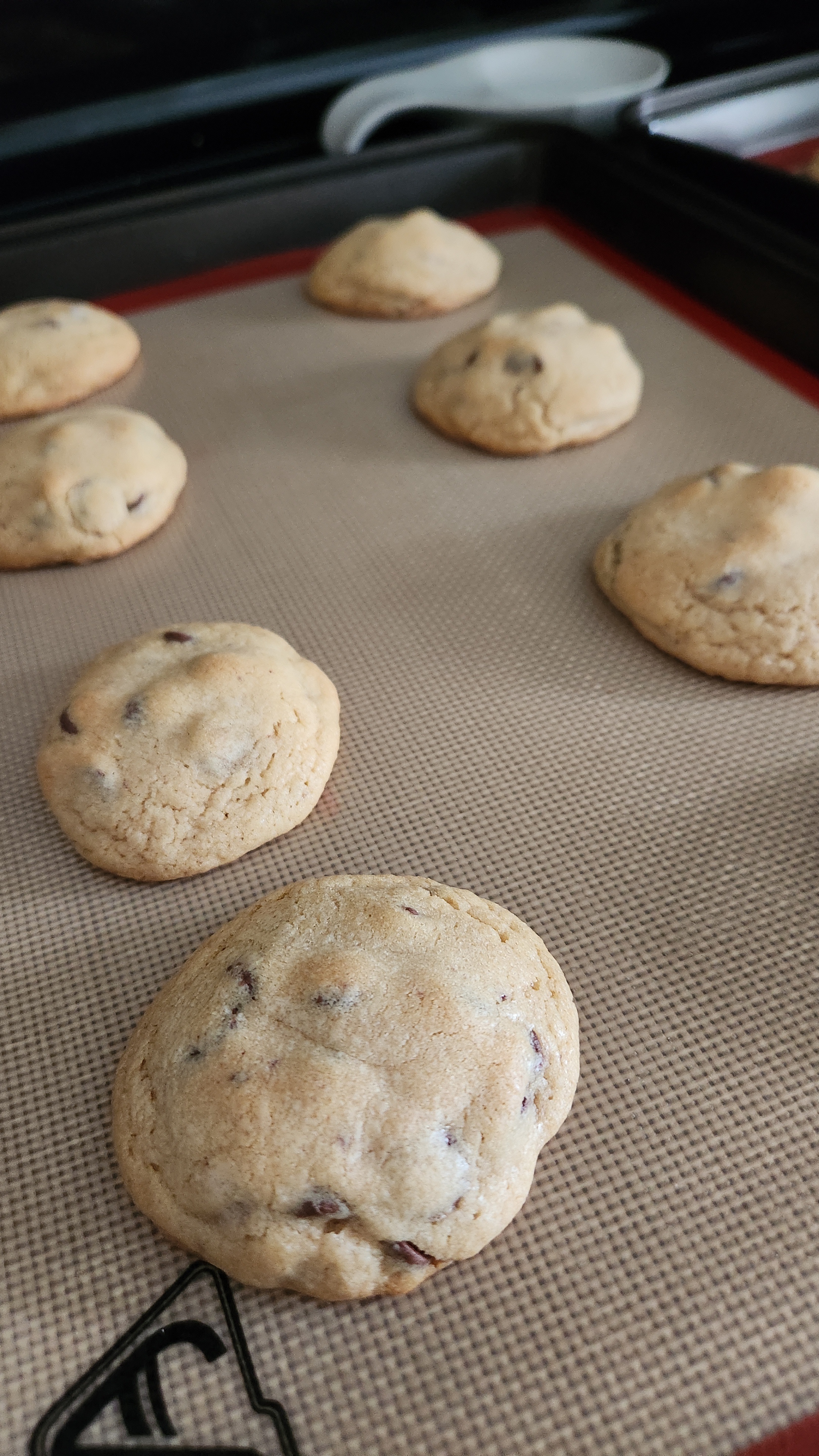 Chocolate Chip Cookies (12)