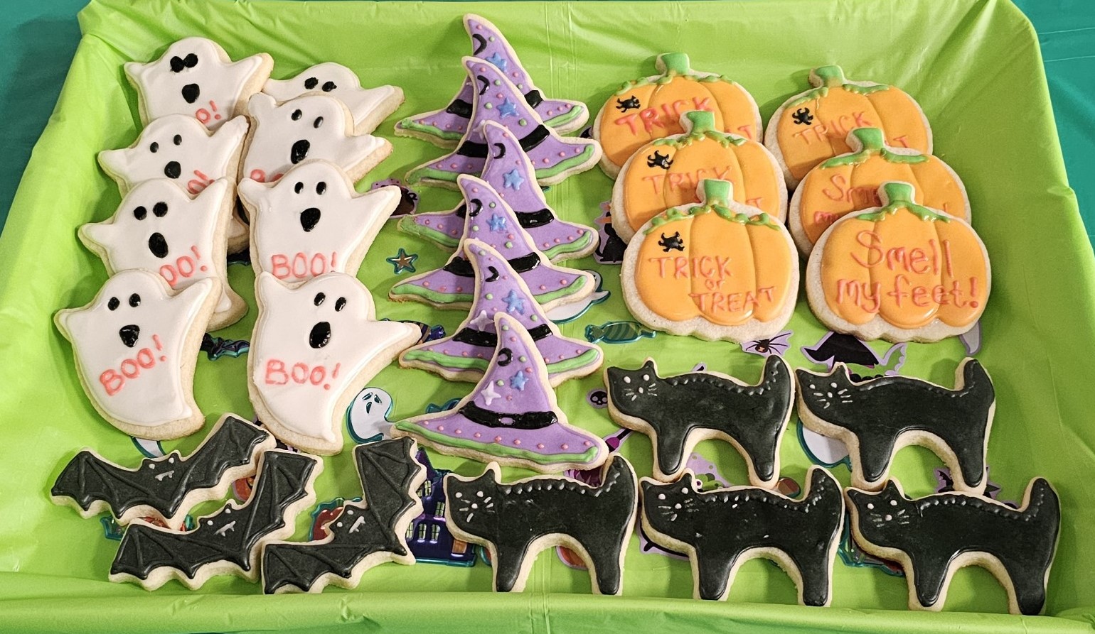 Iced Sugar Cookies (12)