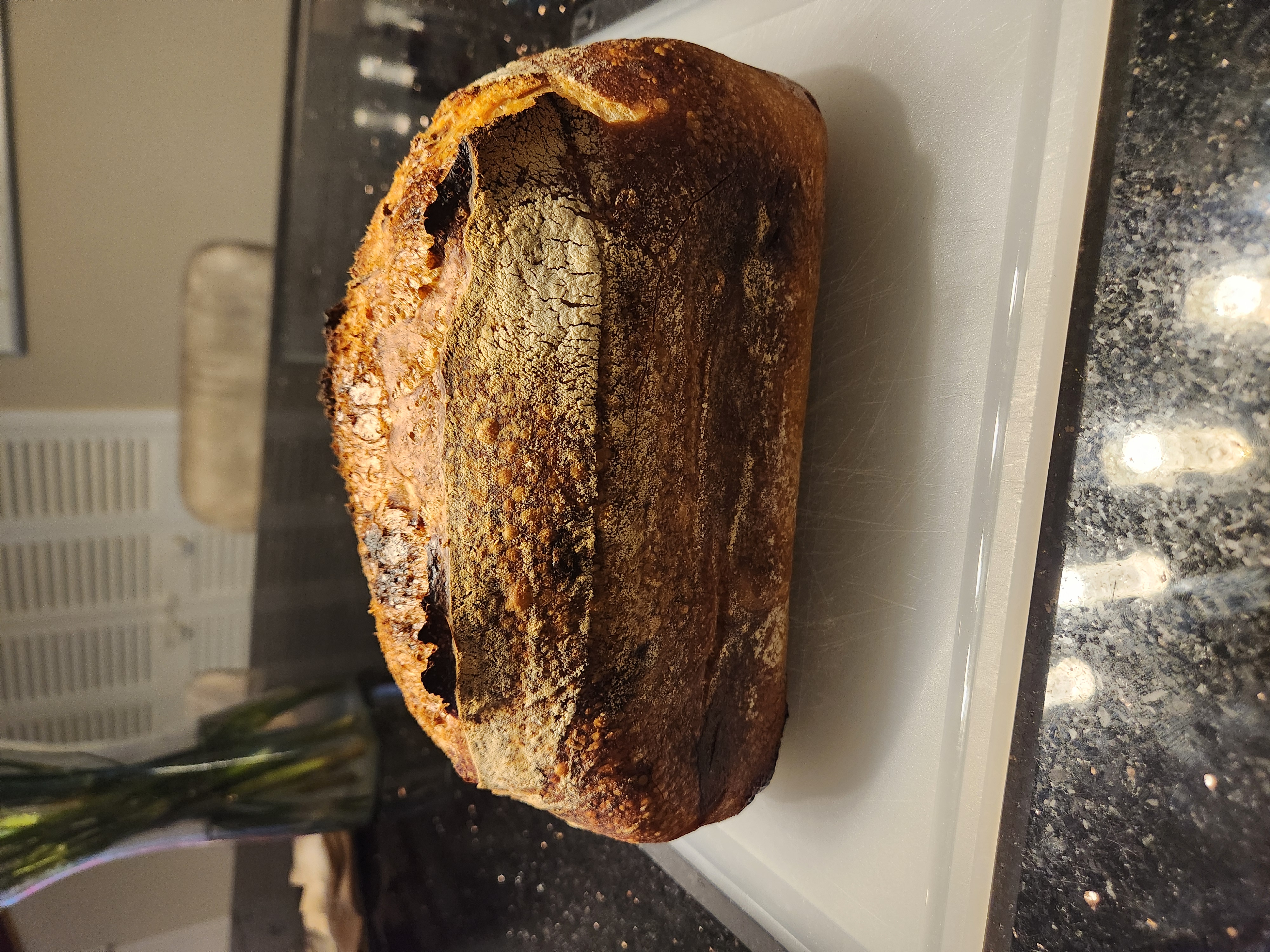 Cinnamon Raisin Sourdough Bread