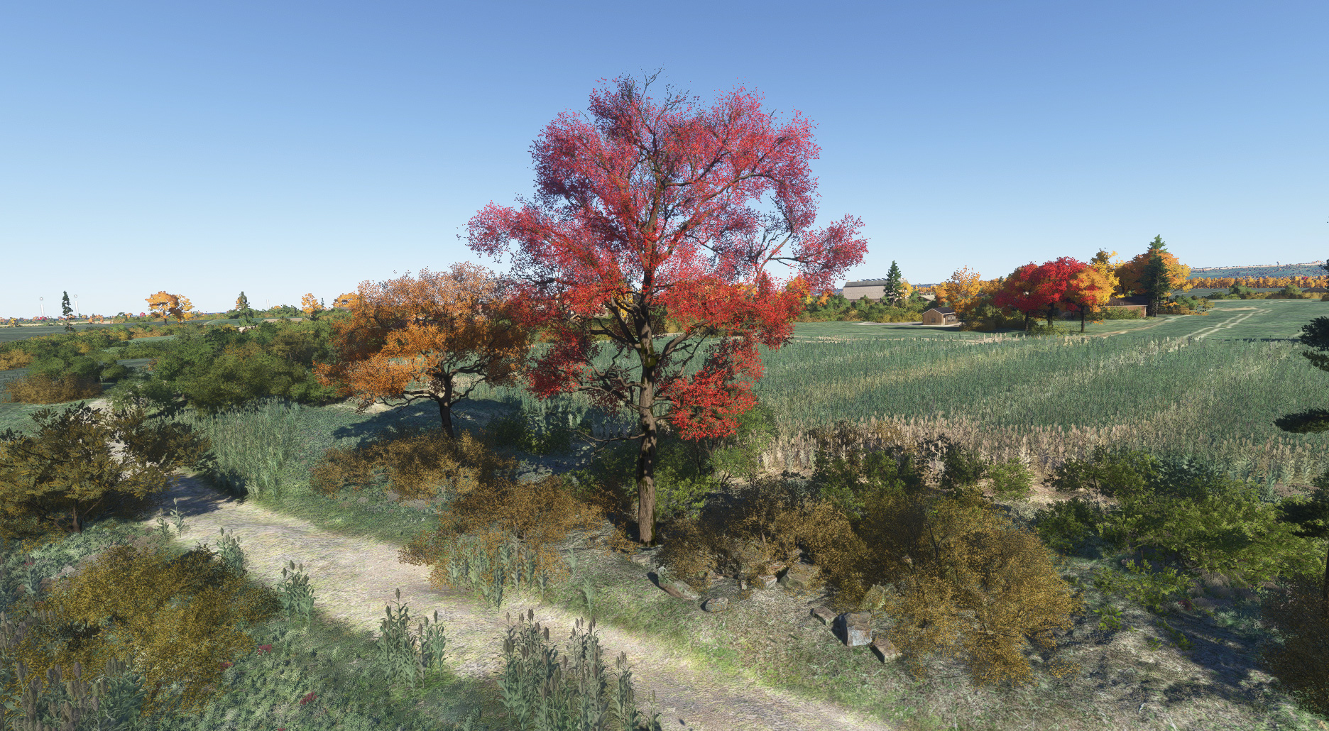 Seasons Enhanced 2024 - V3.1