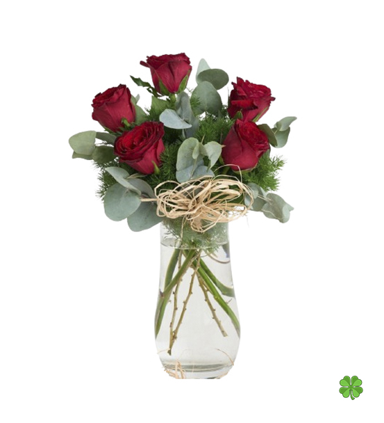 Kırmızı Gül Buketi