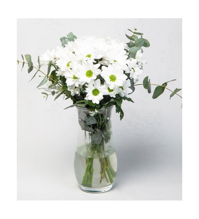 Beyaz Papatya Buketi