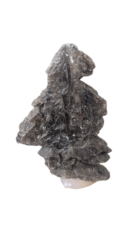 Gypse sapin, 4.8*3*1cm , 10gr, Aude.