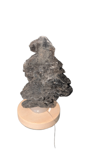 Gypse sapin, 4.8*3*1cm , 10gr, Aude.