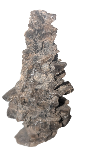 Gypse sapin, 7*3.5*1.5cm , 30gr, Aude.