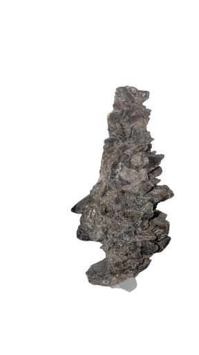 Gypse sapin, 7*3.5*1.5cm , 30gr, Aude.