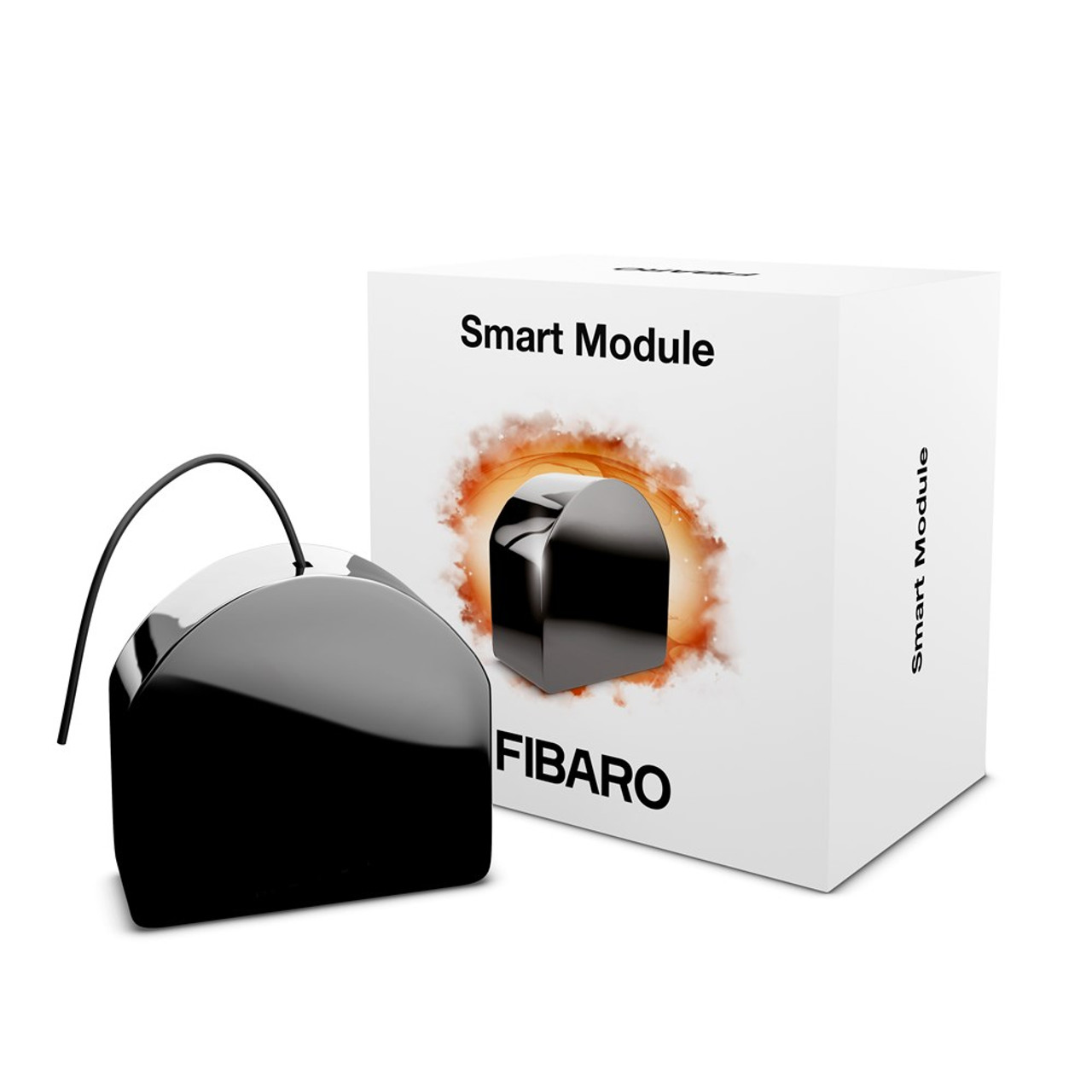 Z-Wave Fibaro Smart Module