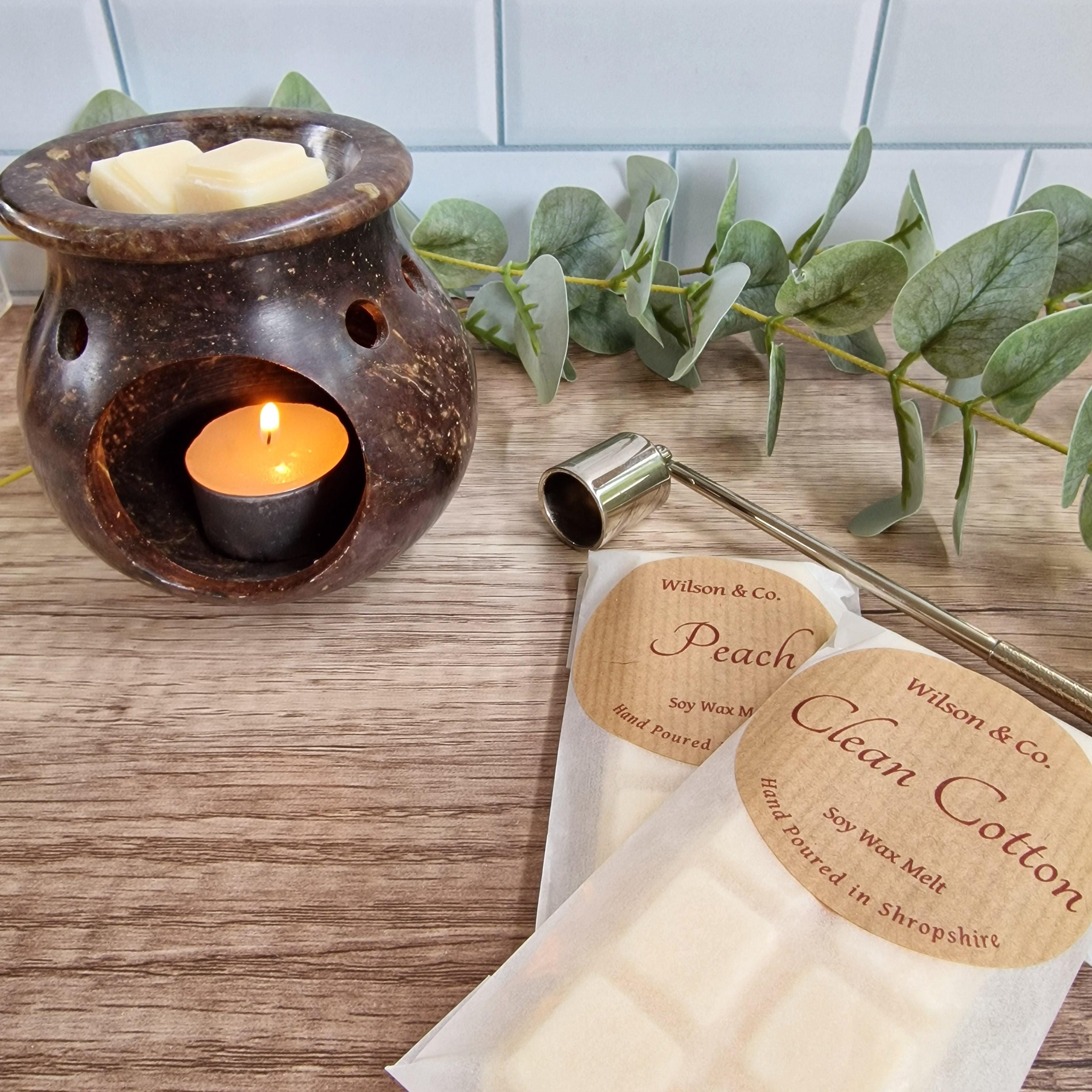Fresh Scented Wax Melts | Fresh & Fruity | Wax Highly Scented Melt Snap Bar 50g