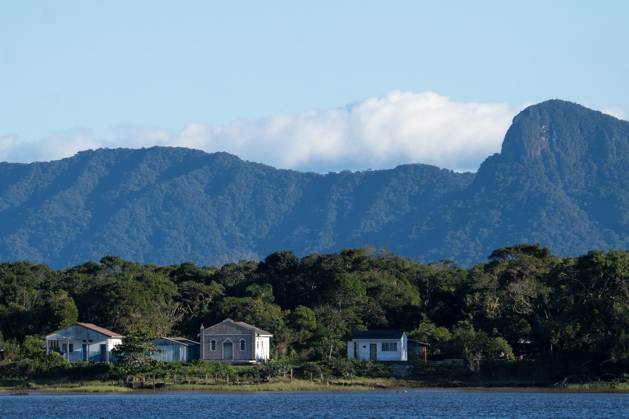 Untouched Coast - Brazil pristine mangroves and beach 