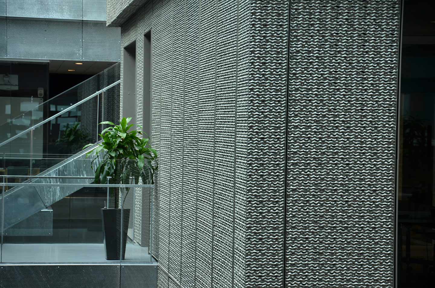 Metalinės bangos 50