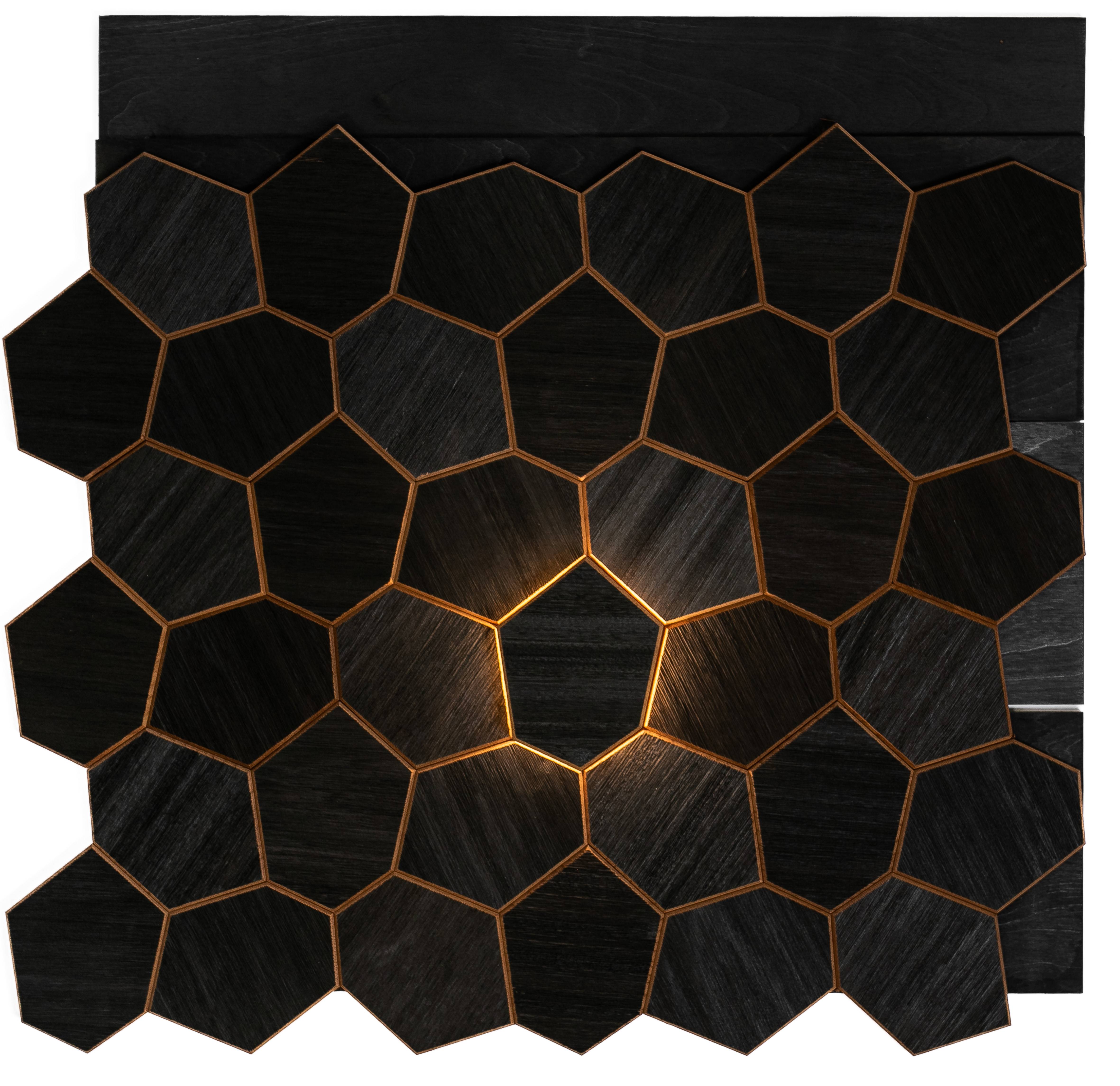 Royal Termo Juoda LED 