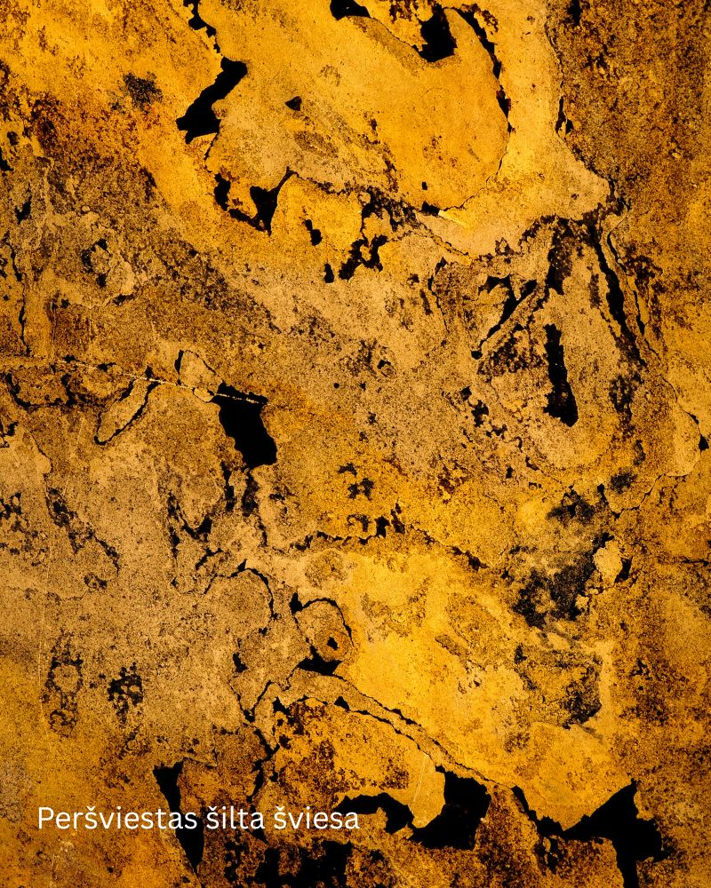 Falling Leaves Peršviečiamas