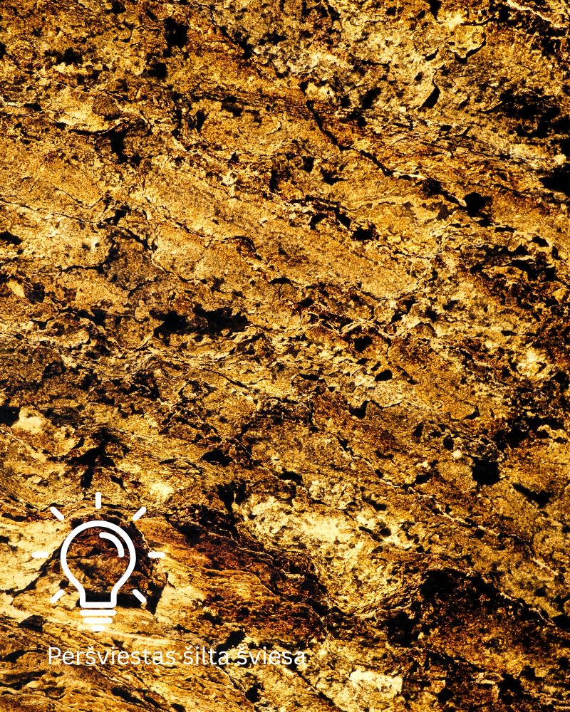 Burning Forest Peršviečiamas