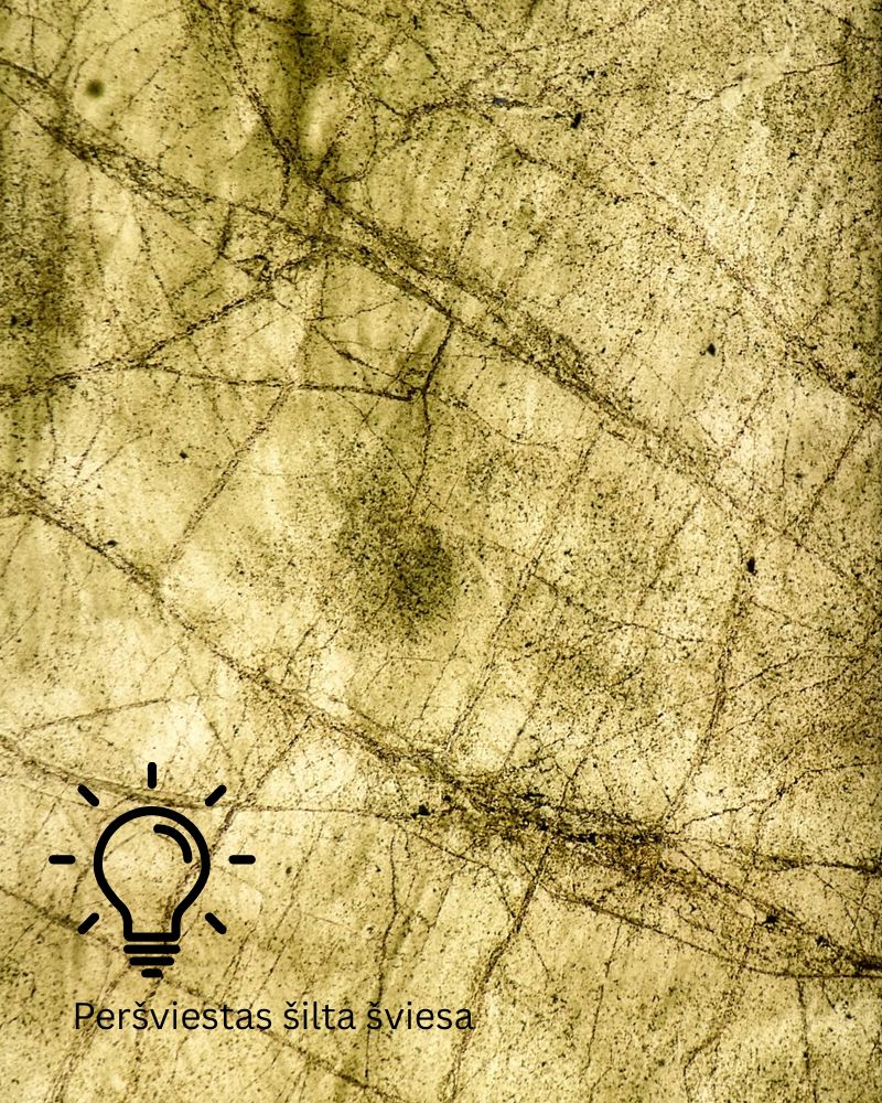 Rainforest green Peršviečiamas