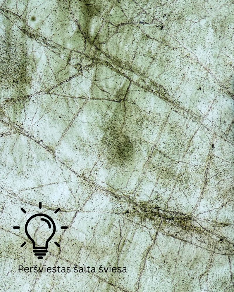 Rainforest green Peršviečiamas