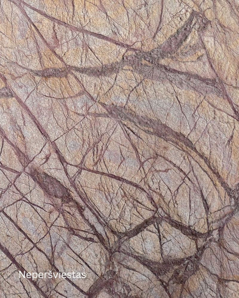 Rainforest Brown Peršviečiamas