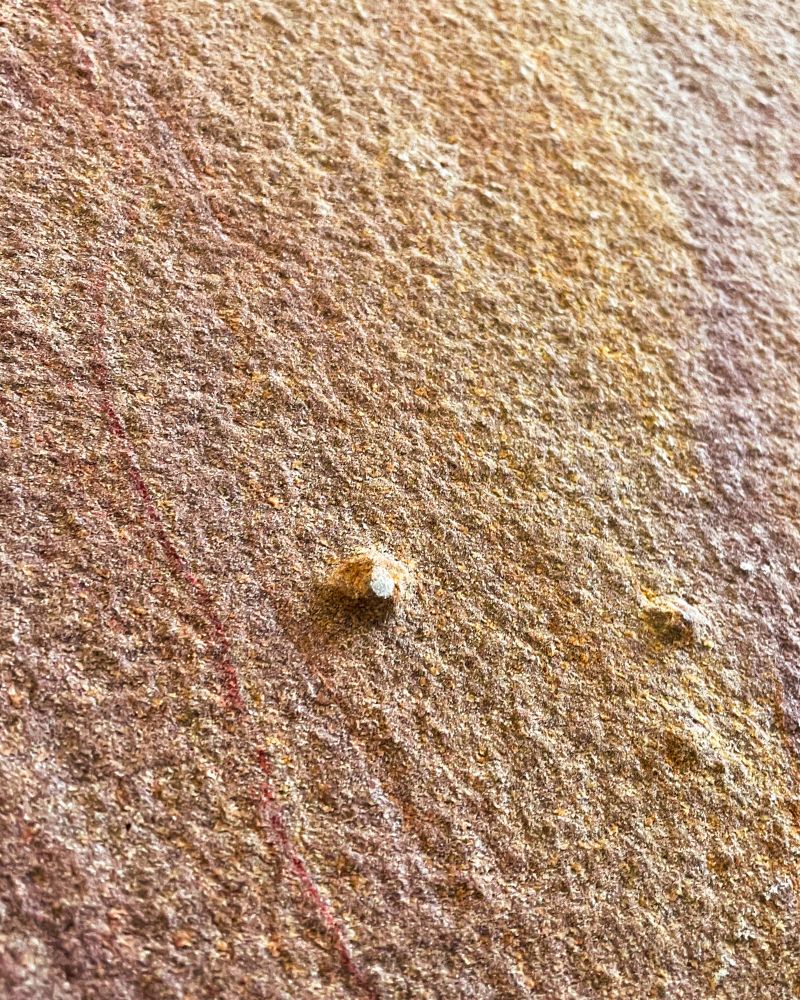 Rainbow Peršviečiamas