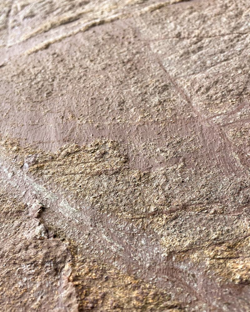 Rainforest Brown Bright