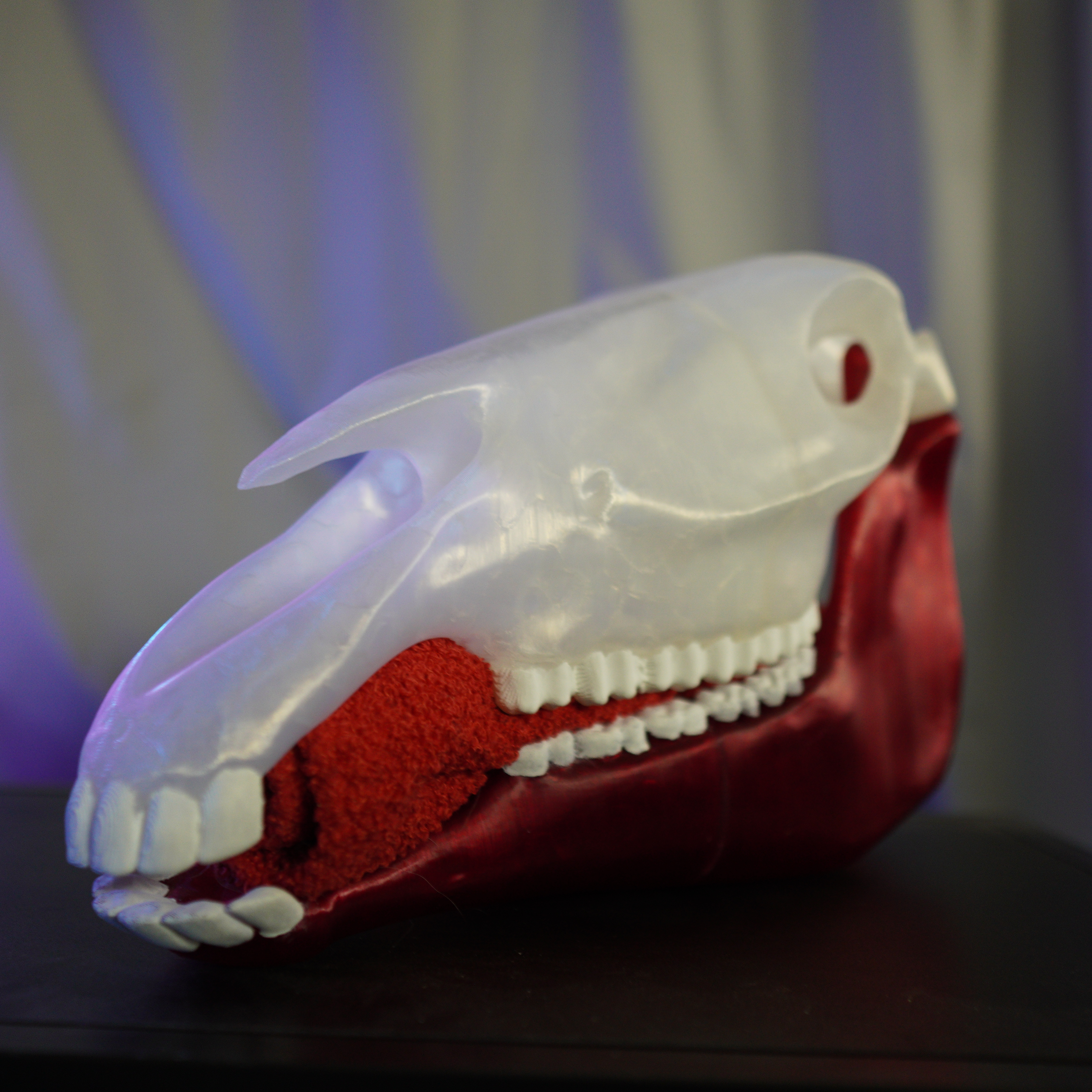 Realistický model koňské hlavy z 3D tisku