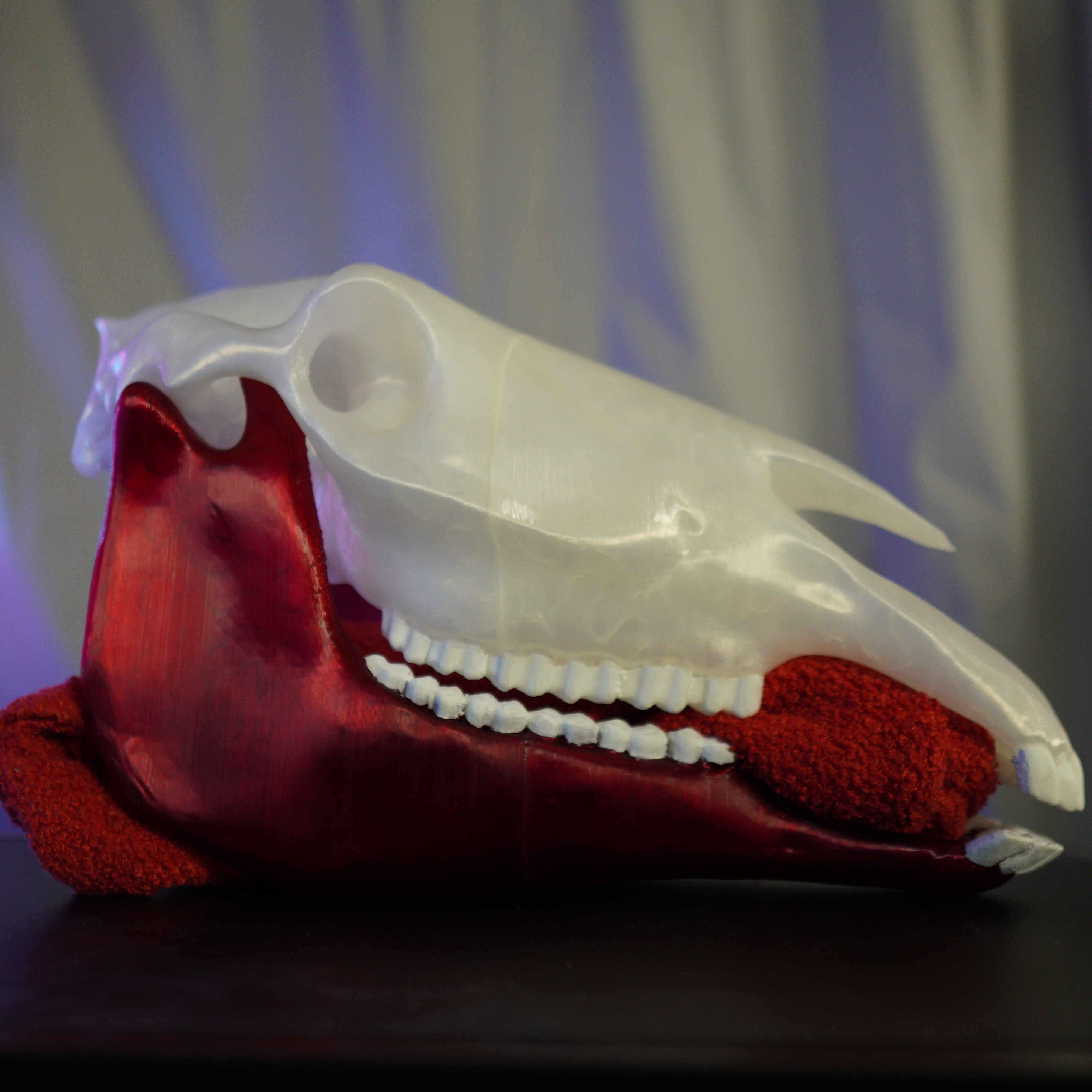 Realistický model koňské hlavy z 3D tisku