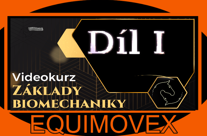 Úvod do biomechaniky koně Díl I