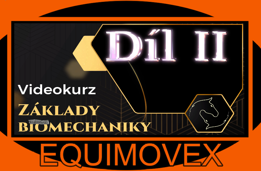 Hlubší porozumění biomechanice pohybu koně. Díl II