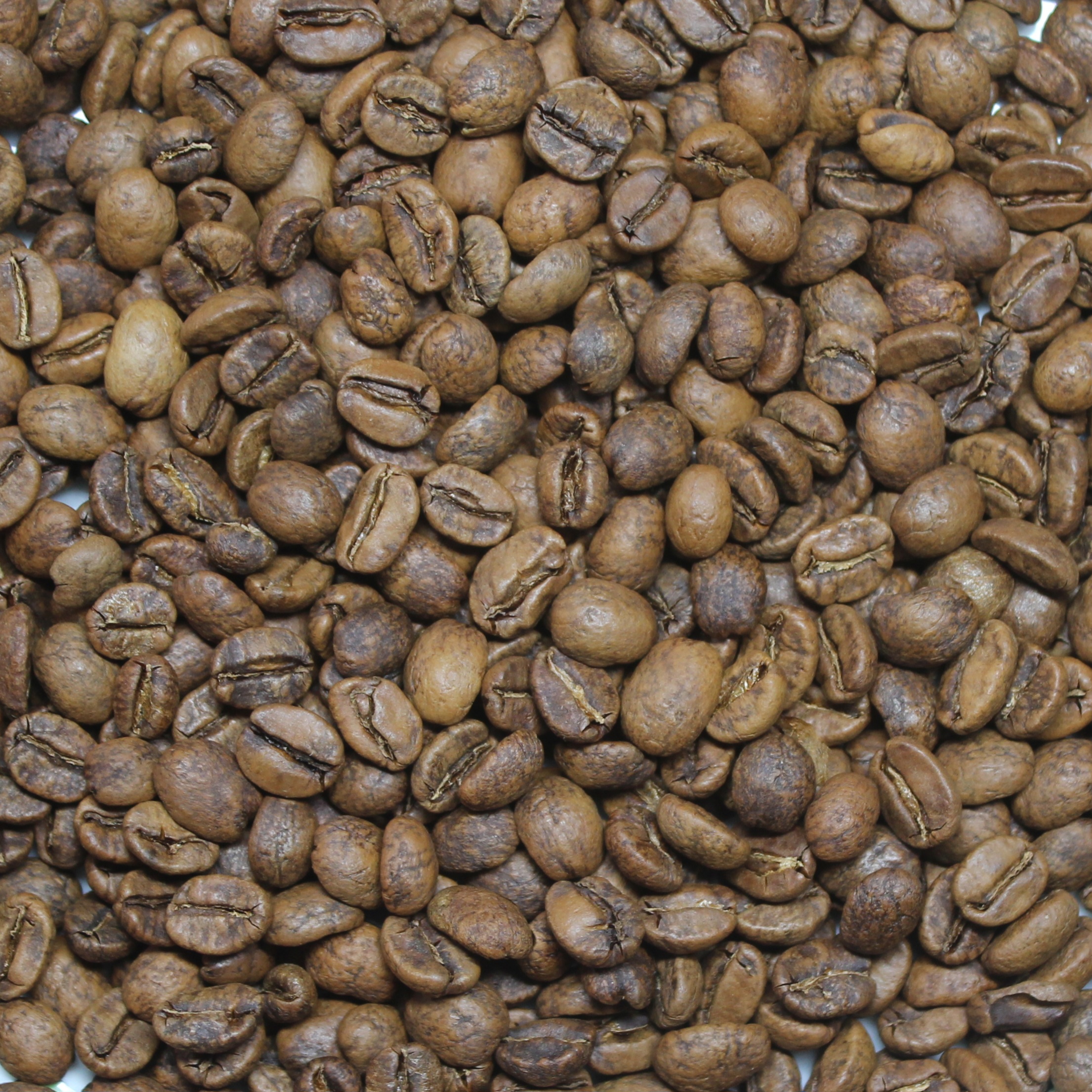 Costa Rica, Red Honey, Caturra