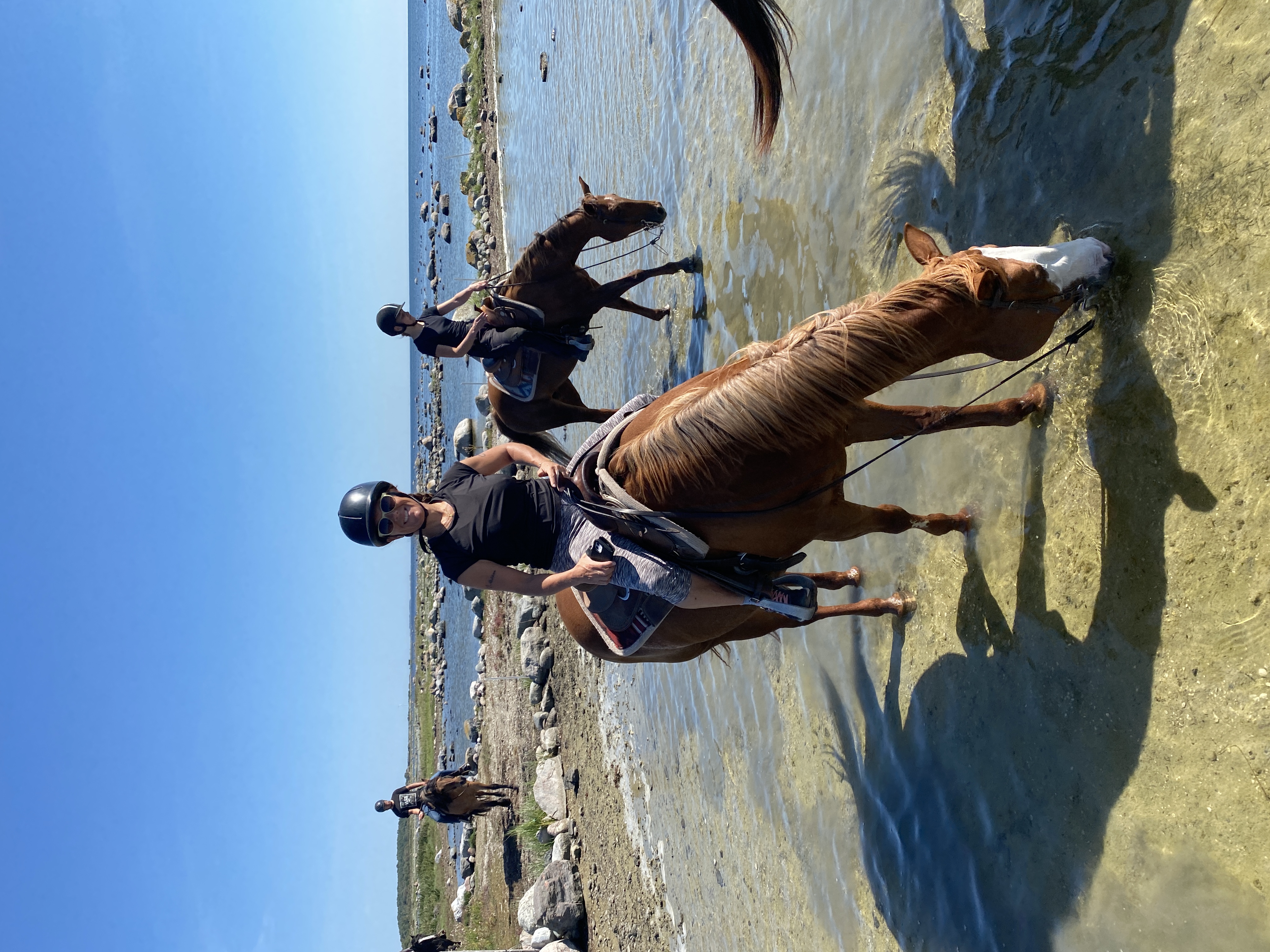 Skåne from horseback (Rise and shine)