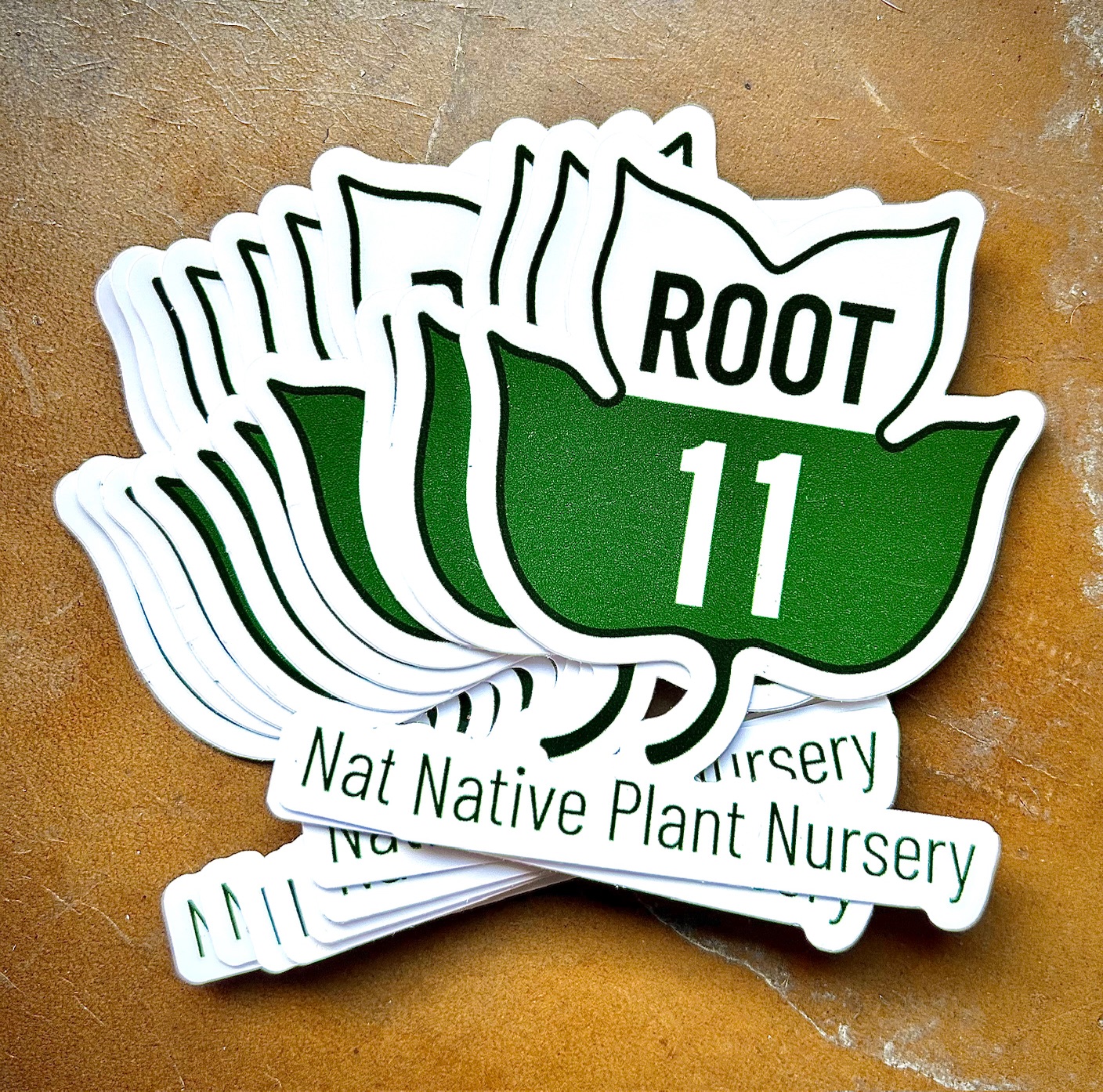 Root 11 Sticker