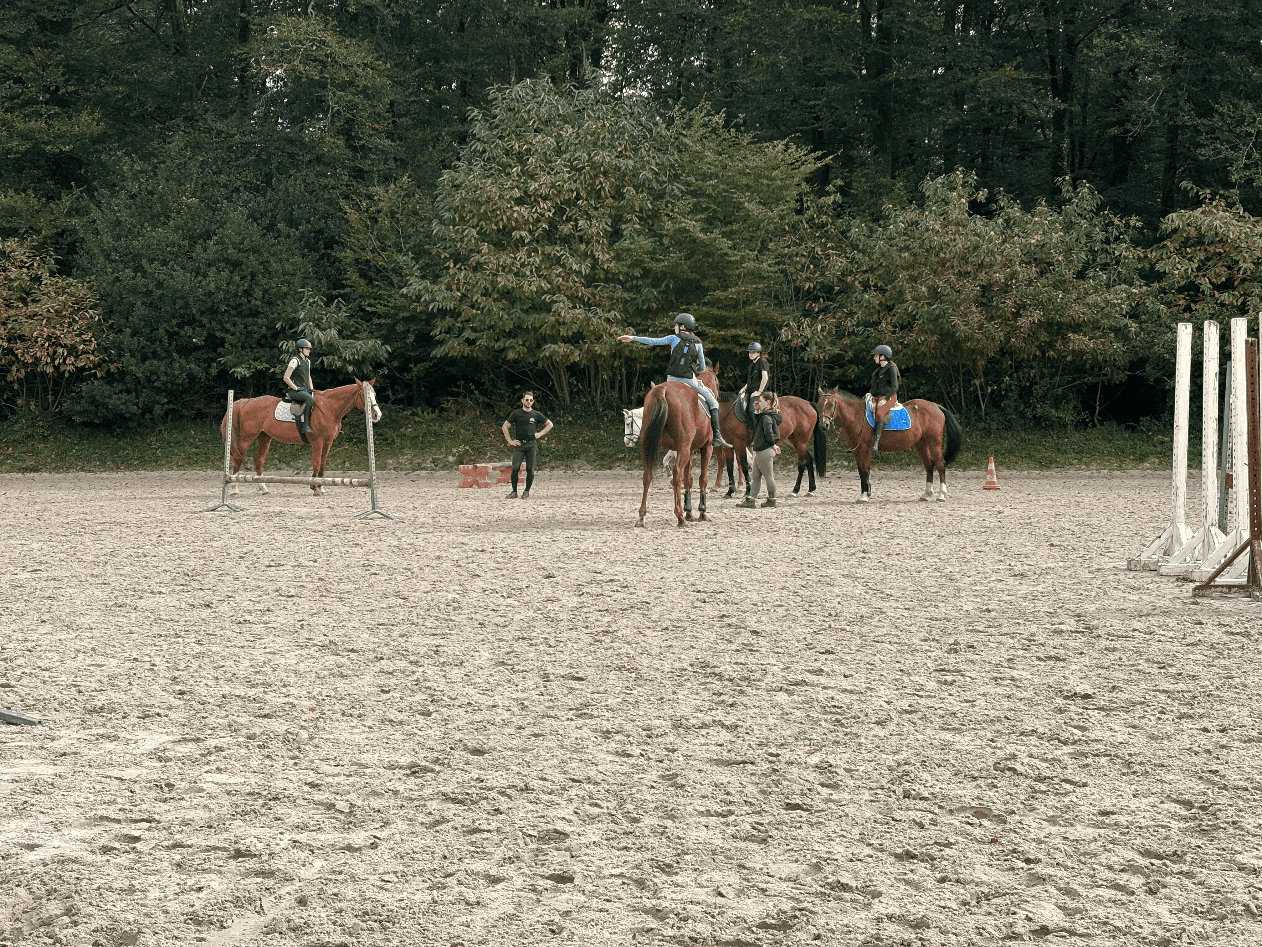 Carte de 10 heures – Cours d’équitation