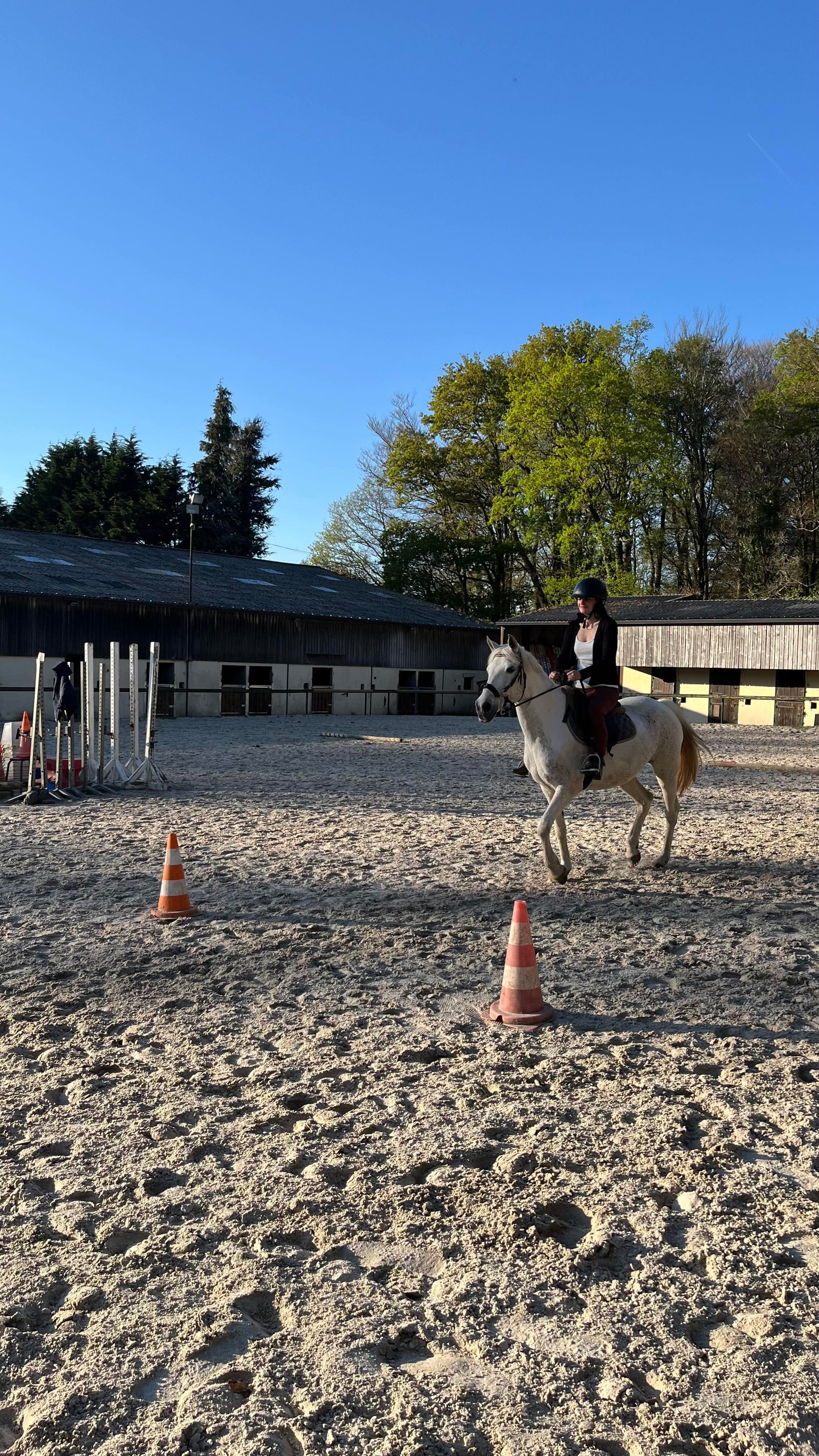 Stage d’équitation – Semaine complète (Non adhérent)