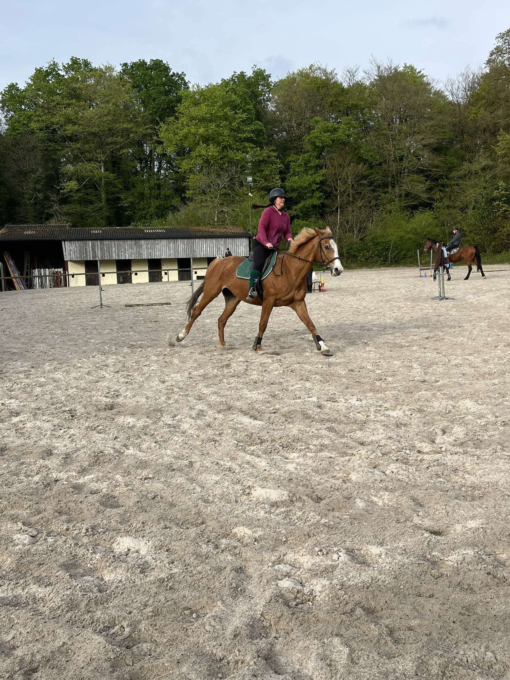Forfait annuel + de 11 ans