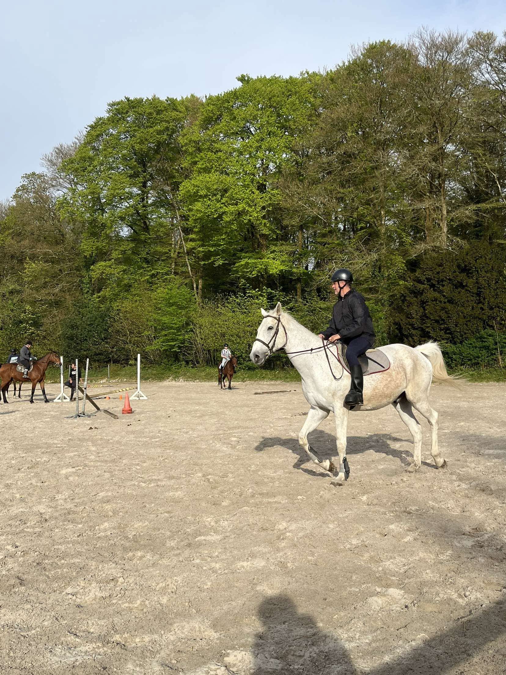 Stage d’équitation – Semaine complète (Adhérent)