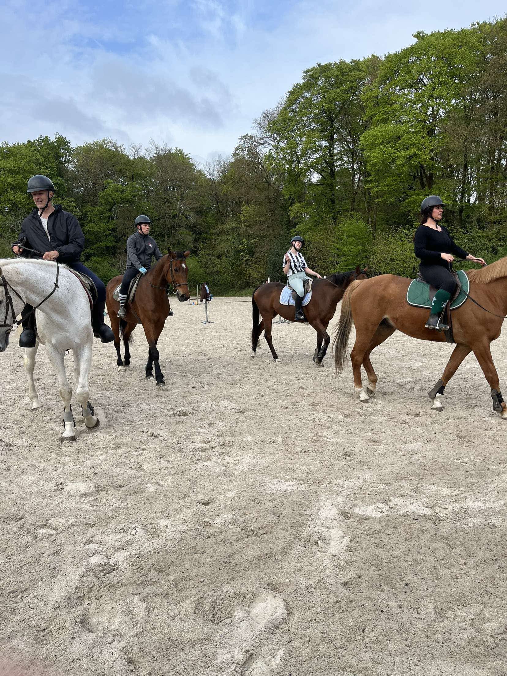 Stage d’équitation – Demi-journée (Adhérent)